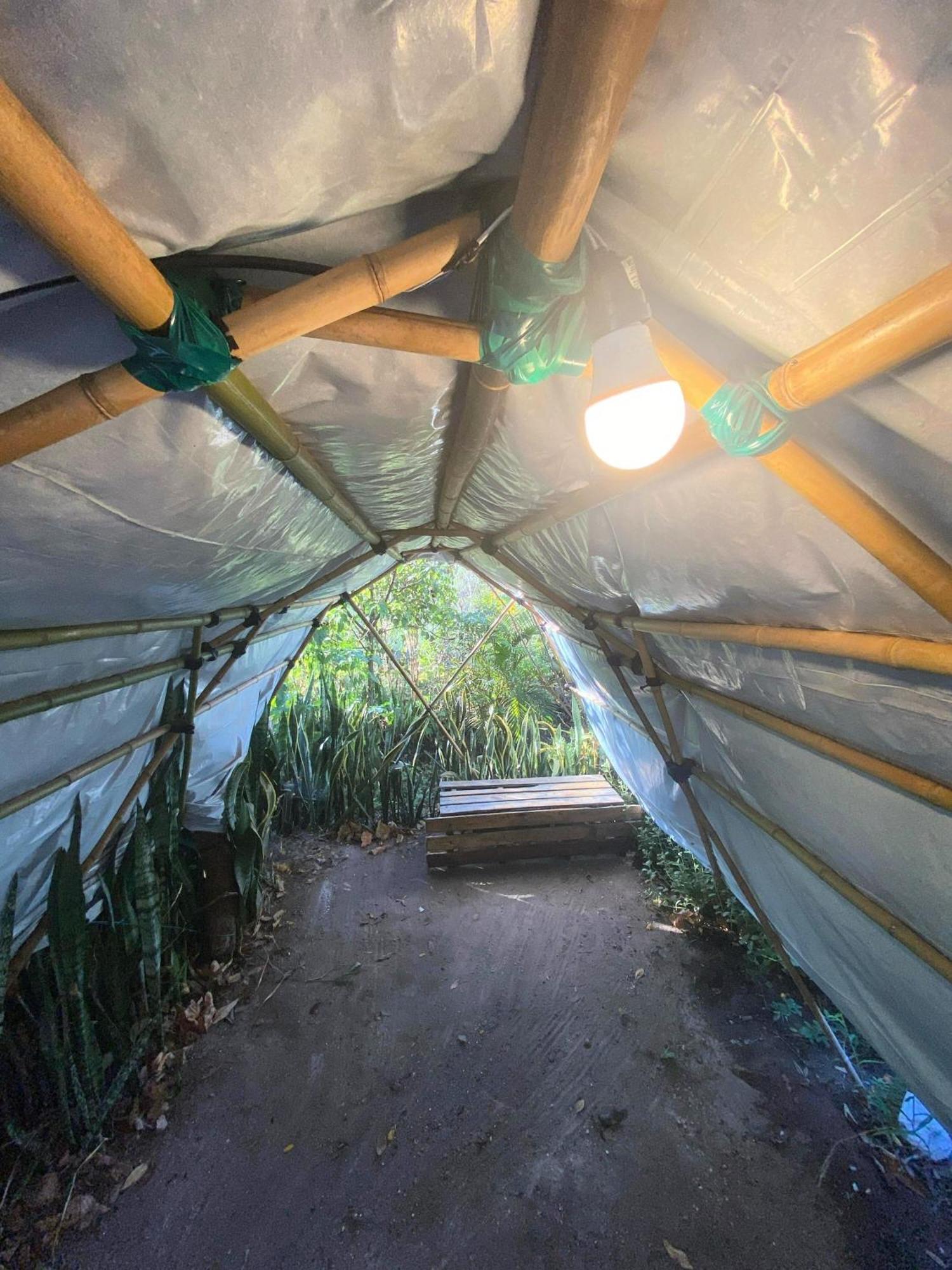 Camping Filhos Da Floresta - Vale Do Capao Kültér fotó