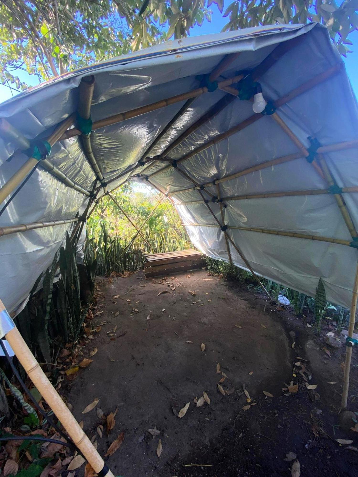 Camping Filhos Da Floresta - Vale Do Capao Kültér fotó